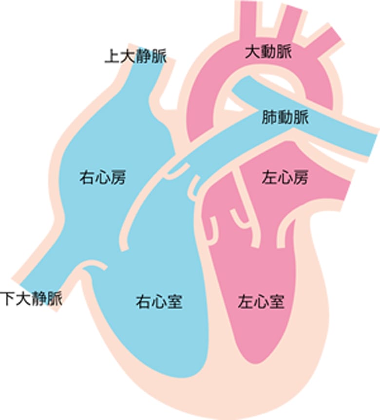 不整脈