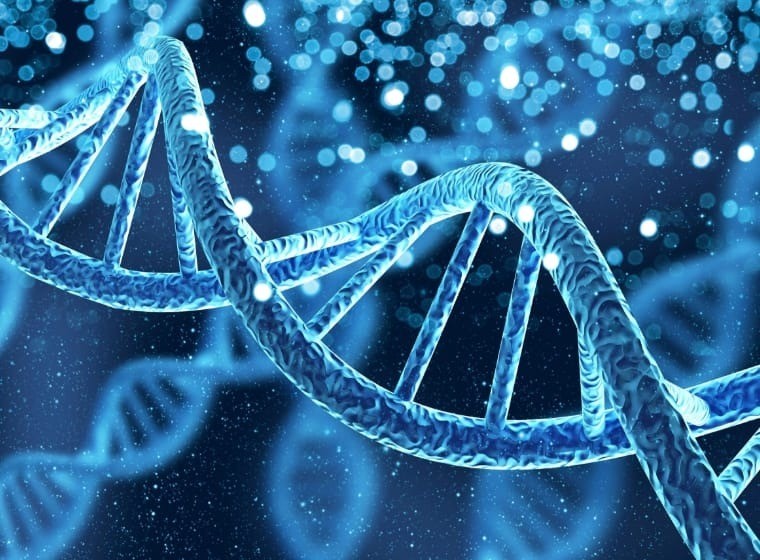 NIPT（母体血胎児染色体検査）